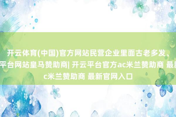 开云体育(中国)官方网站民营企业里面古老多发、易发-开云平台网站皇马赞助商| 开云平台官方ac米兰赞助商 最新官网入口