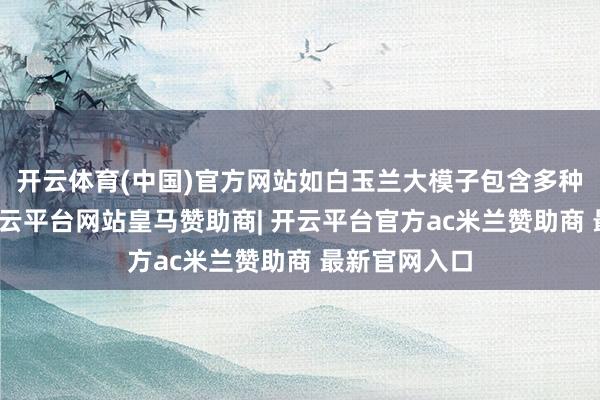 开云体育(中国)官方网站如白玉兰大模子包含多种界限模子-开云平台网站皇马赞助商| 开云平台官方ac米兰赞助商 最新官网入口