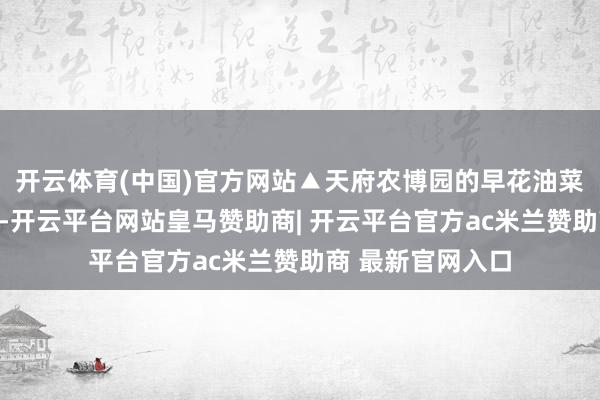 开云体育(中国)官方网站▲天府农博园的早花油菜竞相怒放据先容-开云平台网站皇马赞助商| 开云平台官方ac米兰赞助商 最新官网入口