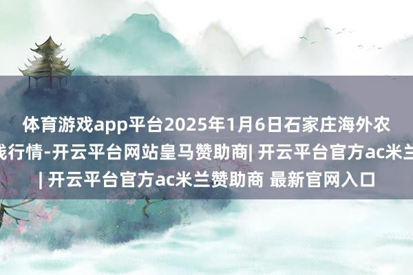 体育游戏app平台2025年1月6日石家庄海外农居品批发来回中心价钱行情-开云平台网站皇马赞助商| 开云平台官方ac米兰赞助商 最新官网入口