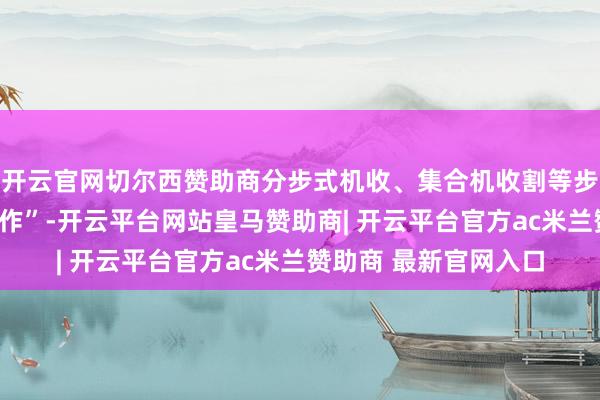 开云官网切尔西赞助商分步式机收、集合机收割等步地在基地里“有所算作”-开云平台网站皇马赞助商| 开云平台官方ac米兰赞助商 最新官网入口