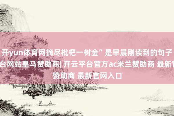 开yun体育网摘尽枇杷一树金”是早晨刚读到的句子-开云平台网站皇马赞助商| 开云平台官方ac米兰赞助商 最新官网入口