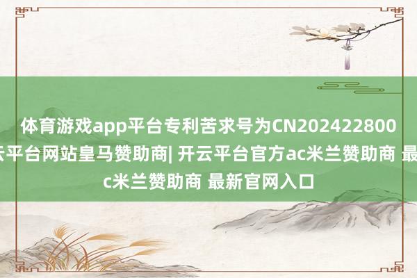 体育游戏app平台专利苦求号为CN202422800023.2-开云平台网站皇马赞助商| 开云平台官方ac米兰赞助商 最新官网入口