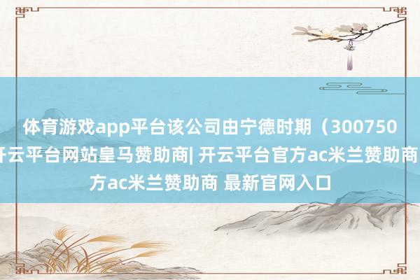 体育游戏app平台该公司由宁德时期（300750）全资握股-开云平台网站皇马赞助商| 开云平台官方ac米兰赞助商 最新官网入口